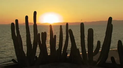 Arizona Sunset 1 스톡 동영상 19222373
