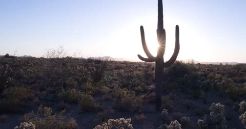 Arizona Sunset 2 動画素材 261998593