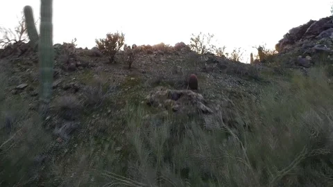 Arizona Sunset Stock Footage 101044308