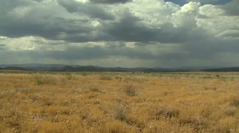 Arizona Thunderstorm Video stock 11207634
