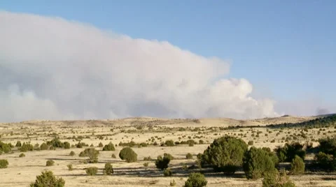 Arizona Wildfire / Forest Fire Stock Footage 8565462