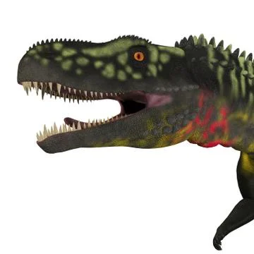 Arizonasaurus Dinosaur Head Stock Illustration