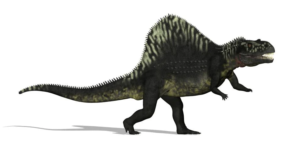 Arizonasaurus Dinosaur Stock Illustration