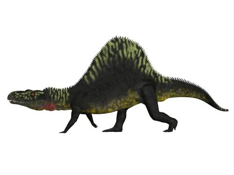 Arizonasaurus dinosaur on white background. イラスト素材