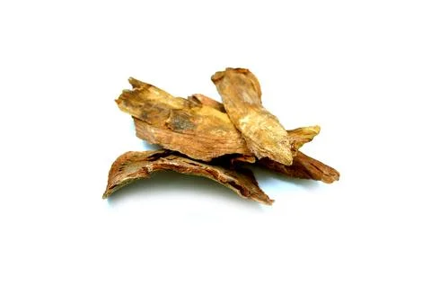 Arjun bark on white background Stock Photos