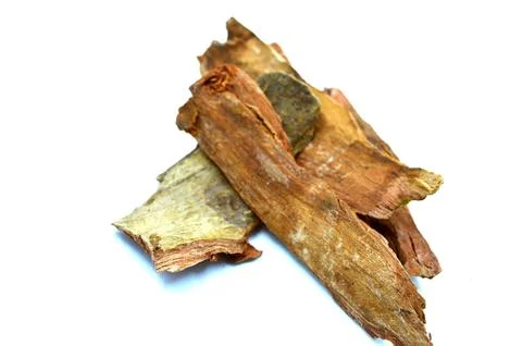 Arjun chhal image Stock Photos