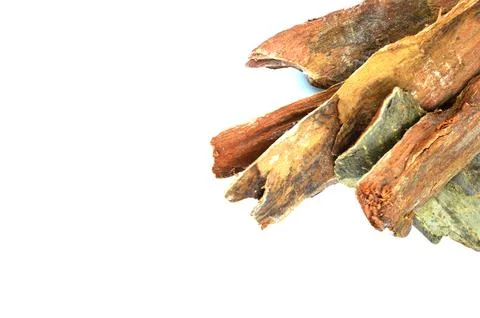 Arjun chhal on white background Stock Photos