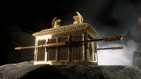 The Ark Vídeo Stock 274456301