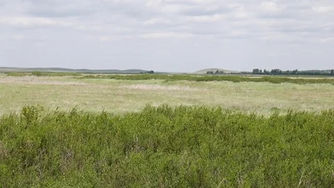 Arkaim. Steppe Stock Footage 80979620