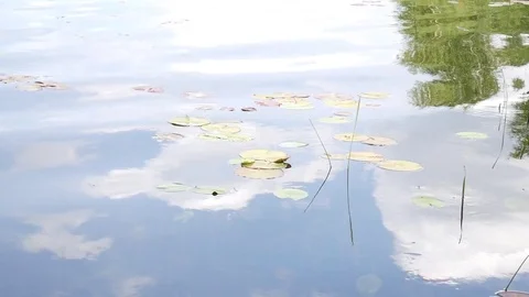 Arkaim. Surface of a quiet pond Stock Footage 80979621
