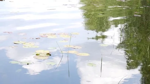 Arkaim. Surface of a quiet pond Stock Footage 80979630