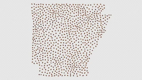 Arkansas Coffee Beans Stock Footage 147418588