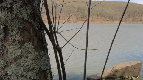 Arkansas Lake Stock Footage 127949976