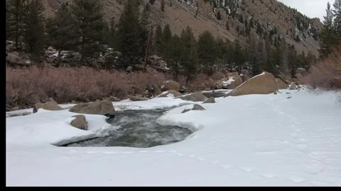 Arkansas River 2 Vídeo Stock 310814901