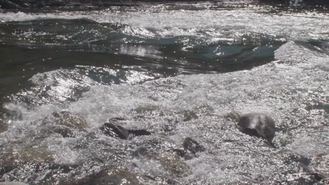 Arkansas River in Slow Motion Video stock 137366242