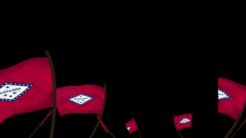 Arkansas State Flags Waving Crowd. Realistic 4K 60fps Seamless Loop Stock Footage 338405849