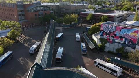 Arked buses fill Eugene's busy transit station plaza, colorful mural covers Stock Footage 340042475