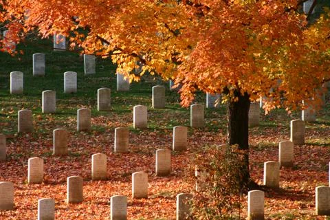 Arlington Cemetery in Fall Glory Stock Photos