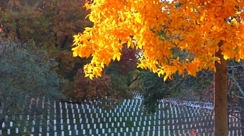 Arlington Cemetery Stock Footage 59150729