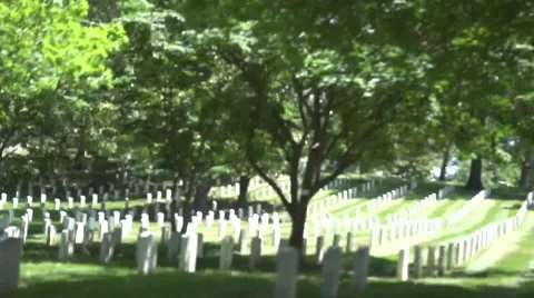 Arlington Drive by Stock Footage 46994883