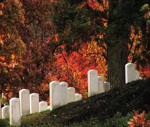 Arlington in Fall Colors Vidéo 74973731