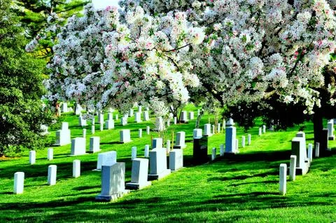 Arlington National Cemetery Stock Photos
