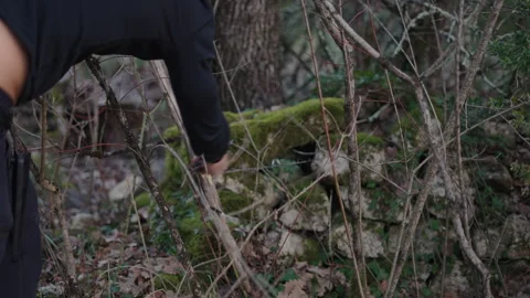 Arm and hand of young man cutting dry branches in the forest before lighting a Stock Footage 274742332
