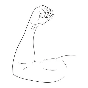 Arm biceps vector sketch illustration. Stock Illustration