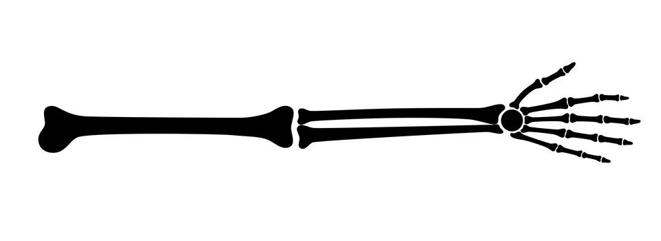 Arm bones poster Stock Illustration