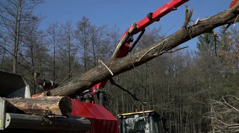 Arm car is holding a log high in the air Stock Footage 33738133