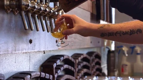 Arm of Caucasian bartender pouring craft beer Stock Footage