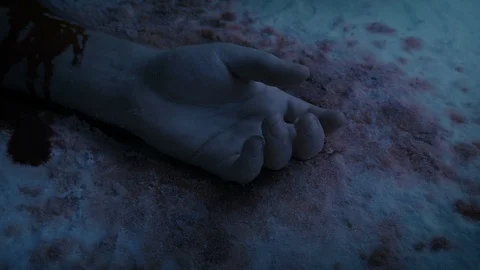 Arm Of Dead Person In The Snow At Dusk Stock Footage 108754833