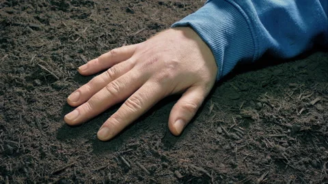 Arm On The Ground Moving Shot Stock Footage 306185088