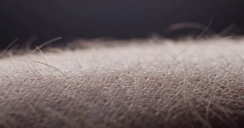 Arm Hairs Respond to Static Electricity Macro Stock Footage 73080825