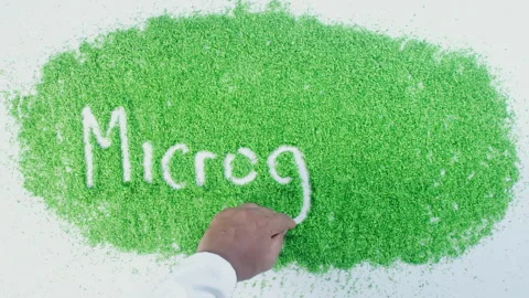 An arm of an Indian man writing in the green material words Micro greens Stock Footage 248646498
