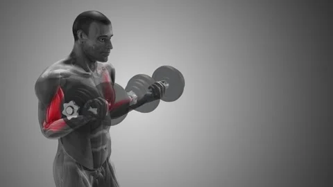 Arm Muscle Highlighted During Biceps Curl with copyspace 動画素材 308506282