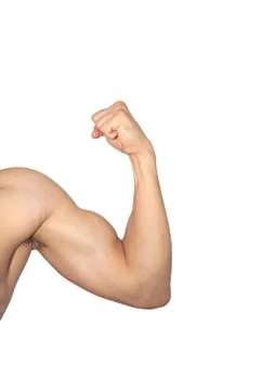 Arm muscle Stock Photos