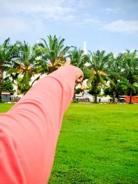 Arm pointing toward a distant white building framed by palm trees and a lus.. Stock Photos