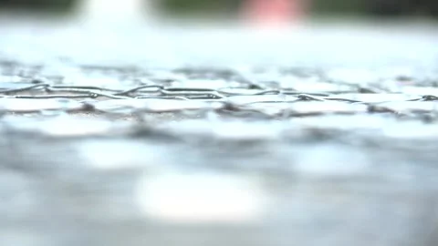 Arm setka focus rasfokus Stock Footage 163610835