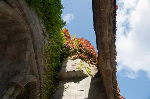 Armadale castle Stock Photos