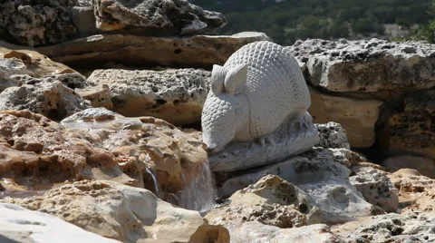 Armadillo Decorative Statue Stock Footage 40807352