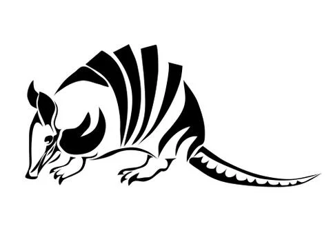 Armadillo Stock Illustration