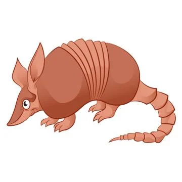 Armadillo Stock Illustration