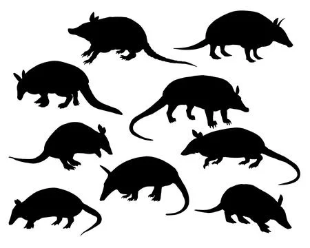 ARMADILLO SILHOUETTE VECTOR ART Stock Illustration