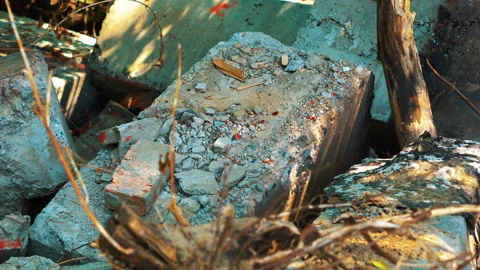 Armature in the forest Stock Footage 146805774