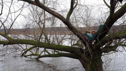 An armchair on the tree Stock-Fotos