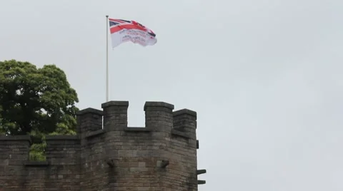 Armed Forces Day flag 스톡 동영상 7730894