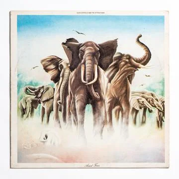 Armed Forces Stock Photos