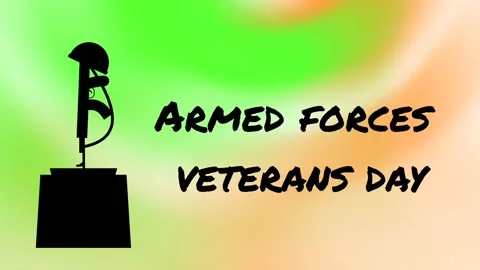 Armed forces veteran day Stock Footage 167053276