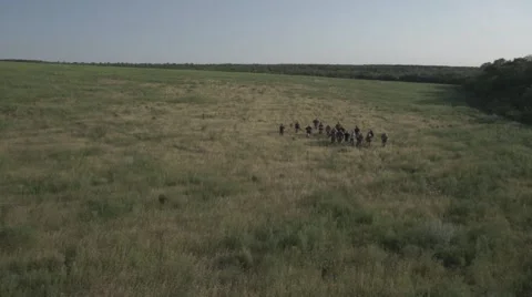 Armed men running across the field. Stock Footage 62559548